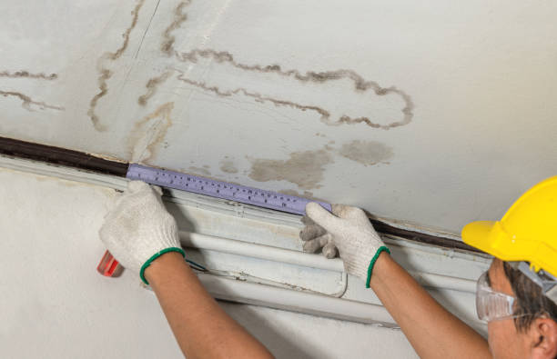 Reliable Basement Water Removal contractor in Brownsville, KY by Water Damage Irwin